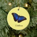 Pesquisar por borboleta azul de natal decoração Nome