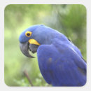 Pesquisar por brasil adesivos Latina