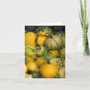 Pesquisar por squash cartoes Gourd