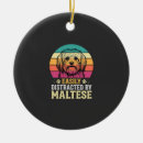 Pesquisar por cão maltês ornamentos Cachorro