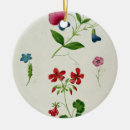 Pesquisar por ilustração botânica ornamentos Flores