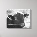 Pesquisar por vacas preto branco impressão de canvas Agricultura