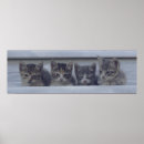 Pesquisar por fila pôsteres Fotografia