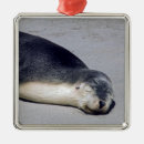 Pesquisar por foca ornamentos Bebê