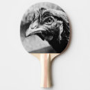 Pesquisar por galinha ping pong raquetes Animal