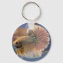 Pesquisar por bettas chaveiros Peixes