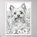 Pesquisar por yorkshire terrier dog pôsteres Yorkie