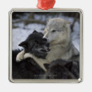 Pesquisar por lobo ornamentos Animais selvagens