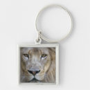 Pesquisar por zoo chaveiros Vida selvagem