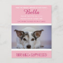 Pesquisar por gato novo cartoes postais Cão