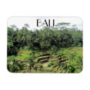 Pesquisar por bali imas Arroz