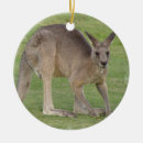 Pesquisar por canguru australiano de natal decoração Marsupial