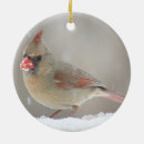 Pesquisar por quintal ornamentos Fotografia