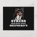 Pesquisar por pastor engraçado cartoes postais Humor