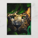 Pesquisar por jaguar cartoes postais Selva