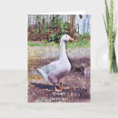 Pesquisar por capoeira cartoes Animais