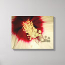 Pesquisar por pétalas e flores impressão de canvas Branco