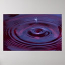 Pesquisar por ondinha da água Roxo
