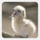 Pesquisar por ilhas havaianas adesivos Havaí