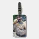 Pesquisar por peludo bagagem tags Galinha