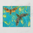 Pesquisar por borboleta turquesa cartoes postais Azul