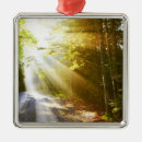 Pesquisar por sun ornamentos Viagem
