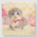 Pesquisar por câmera porta copos Horizontal