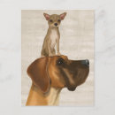 Pesquisar por great dane Animais