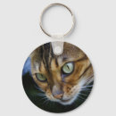 Pesquisar por gato de bengal chaveiros Gatinho