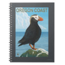 Pesquisar por papagaio do mar Oregon