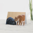 Pesquisar por charity cartoes postais Dog