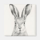 Pesquisar por desenho de lápis imas Coelho