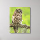 Pesquisar por bird impressão de canvas Jaynes gallery