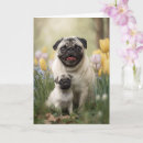 Pesquisar por pug das cartoes Amante de cães