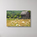 Pesquisar por campo com flores impressão de canvas Fazenda