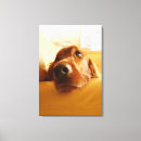 Pesquisar por ferramenta impressão de canvas Interior