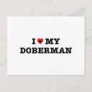 Pesquisar por do doberman Dobie