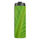 Pesquisar por bananas canecas Planta