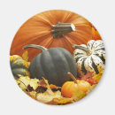 Pesquisar por espantalho imas Halloween