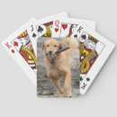 Pesquisar por golden retriever baralhos Ouro