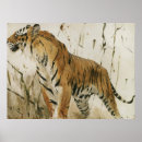 Pesquisar por pintura tigre artes pôsteres Selvagem