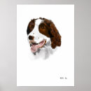 Pesquisar por springer spaniel pôsteres Canino