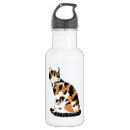 Pesquisar por gato engraçado garrafa agua Pai de gato