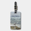 Pesquisar por horizonte bagagem tags Litoral