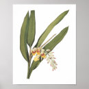 Pesquisar por shells pósteres pôsteres For her