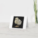 Pesquisar por desenho da galinha cartoes Ilustração