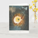 Pesquisar por ilustração botânica cartoes Vintage