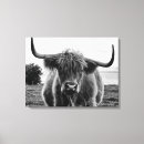 Pesquisar por touro impressão de canvas Animal