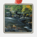 Pesquisar por ponte de madeira ornamentos Floresta