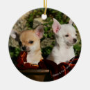 Pesquisar por jovem corça ornamentos Prumo e pam langrish